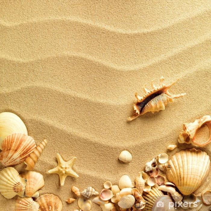 White Aurora Rooms Porto Cesareo Eksteriør bilde